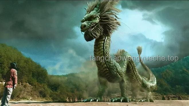 “龙鳞鲤”奇观：化龙传说与现实价值对比